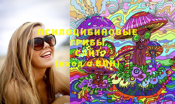 марки lsd Вяземский